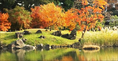 🌳 옛 시바 이궁 은사 정원(큐 시바리큐 온시 테이엔) 이미지 2